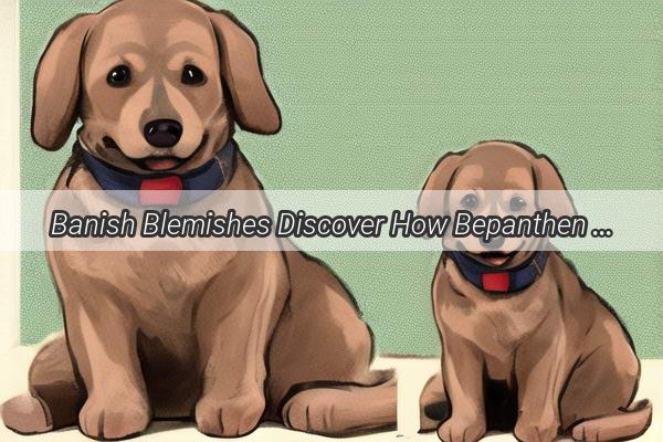 Banish Blemishes Discover How Bepanthen Can Be Your Dogs Best Friend in Healing Wounds